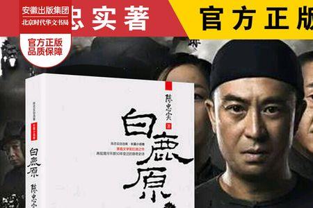陈忠实评价白鹿原小说