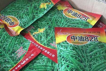 中油金冠与中油金铭的区别