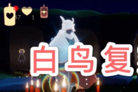 白鸟先祖停留多久