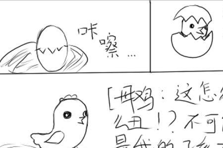 破壳日是什么，意思