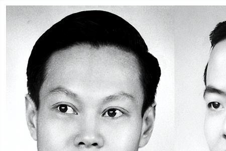 李政道评价杨振宁