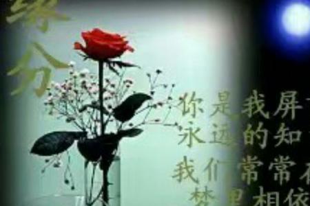 相逢即是缘分下一句是什么