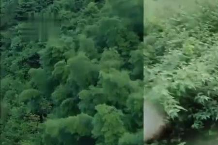 天天向上去漂流是哪一期