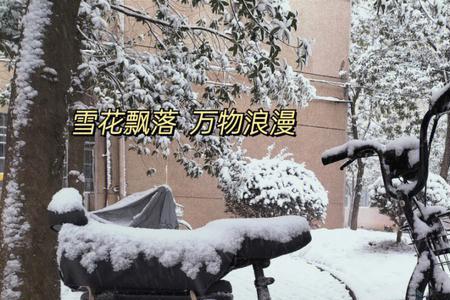 下雪了校园里到处都是的白雪