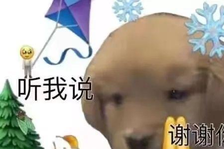 有人说你低级怎么回
