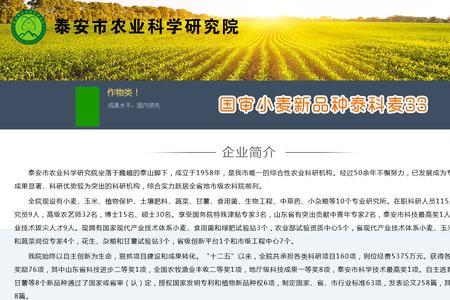德农008小麦优点和缺点