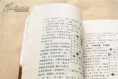 象棋大师记谱吗