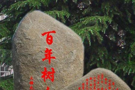 十年树木百年树人的意思是什么