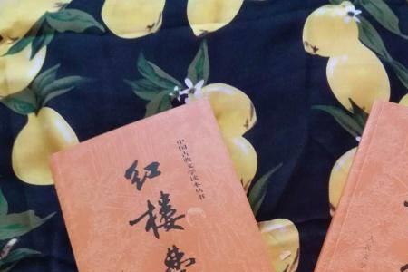 书名为什么叫蜃楼志