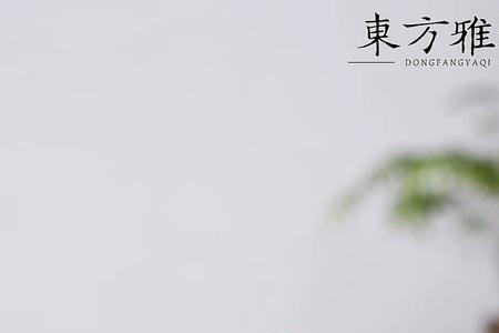 谈碧君的紫砂壶怎么样