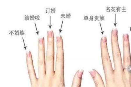 十一个手指头什么寓意