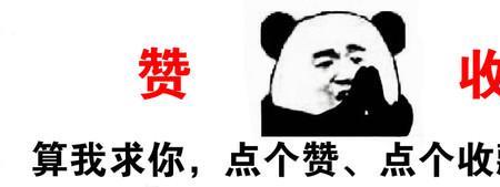 布鲁克斯甘油使用寿命