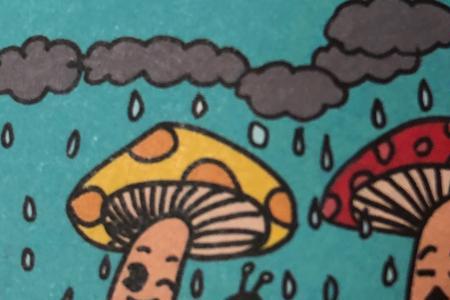 下雨了小蝴蝶有什么表现