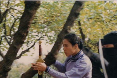 康德第一保镖传奇为什么禁播