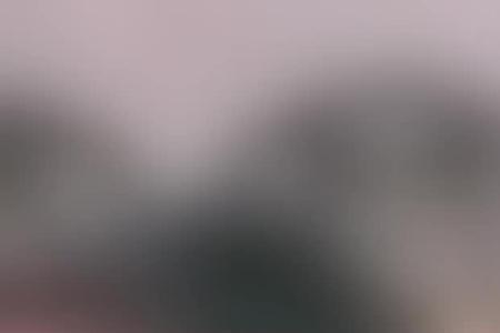 师父不要徒弟了叫什么