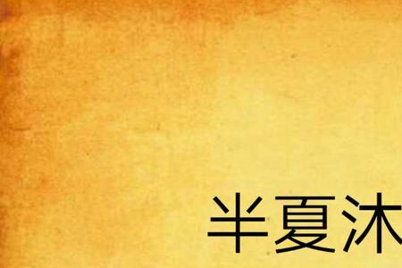 女主叫沐清凌的穿越小说