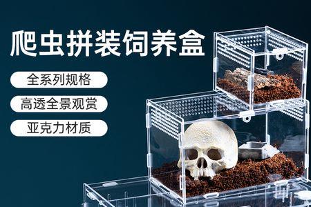 爬宠饲养箱湿度如何降低