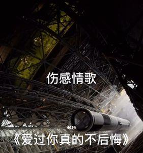 我后悔爱过你的意思