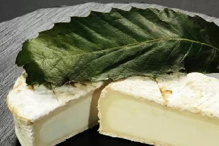 乾隆麻吉乳酪好吃吗