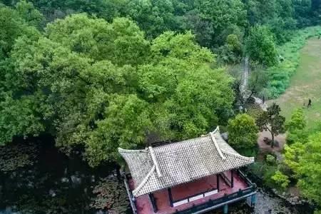 无力问苍天的意思
