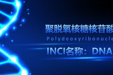 dna是哪一年开始应用的