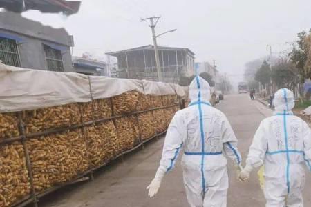 防护服里穿大衣行不行