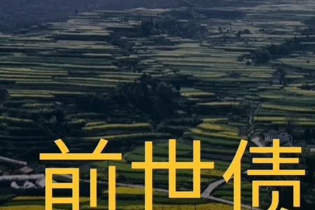 最好的债歌词背后的故事