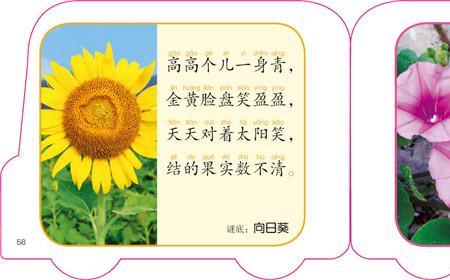 天上的星星有多重打一谜语