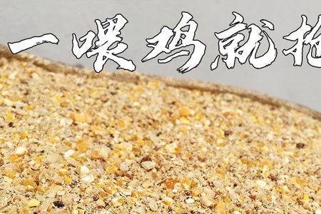 钓鱼抖米快还是饲料