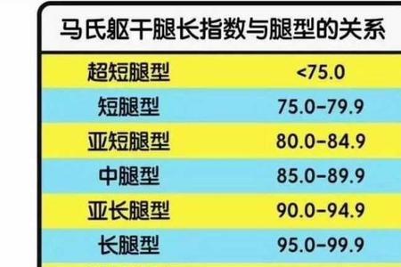 上身是从哪里量的
