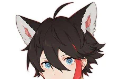 猫系男生性格特点