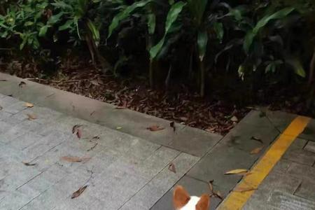 举升机一直哼哼起不来