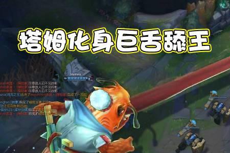 塔姆法装怎么出