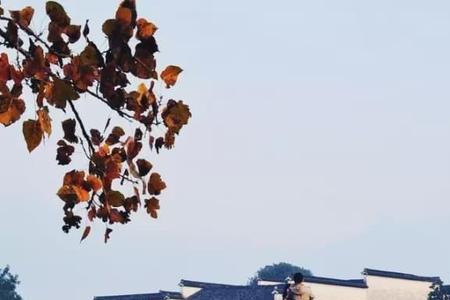 烟雨小桥人家意境句子