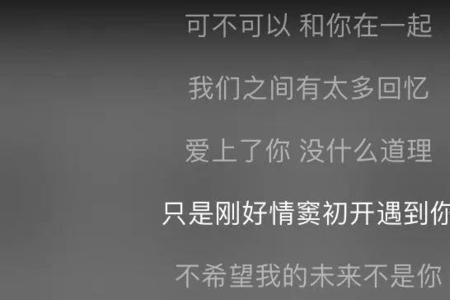 解忧公主 在一起 歌词