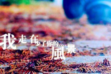 忘记从前的自己原唱