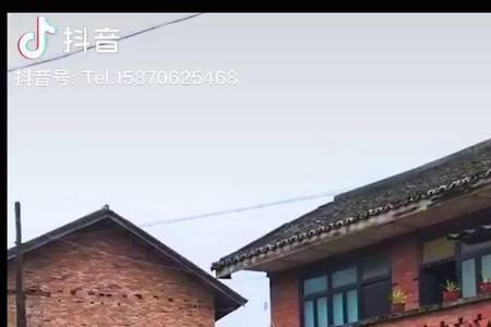 怎么对付天天串门的人