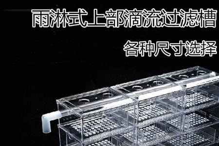 两个过滤槽的鱼缸怎么放细菌屋