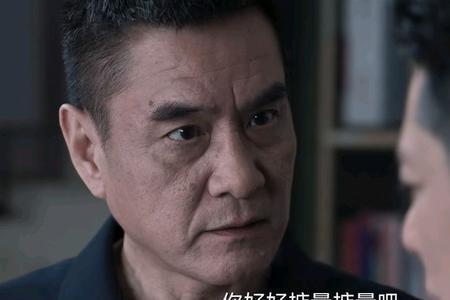 罪域里肖振邦的岳父是什么官