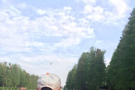 悠哉乐哉的近义词是什么