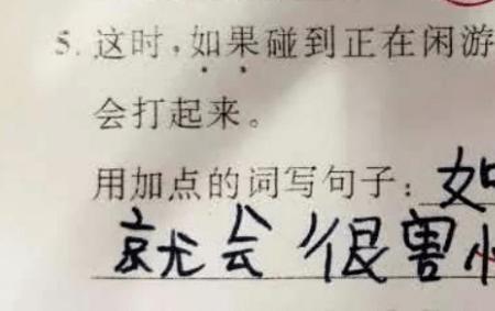 神机妙算造句子怎么造