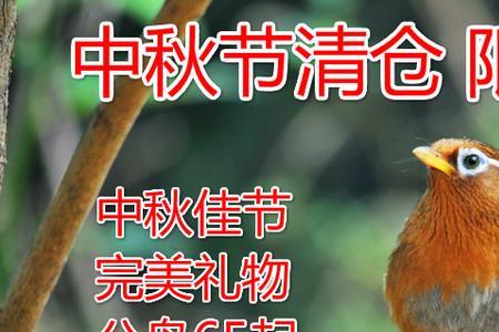 红毛画眉好还是青毛的好