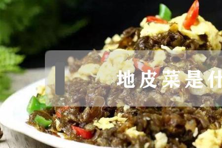 聊天说菜是什么意思