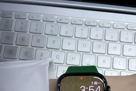applewatchseries7能监测对方心跳吗