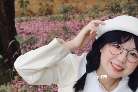 花语我喜欢你是什么花