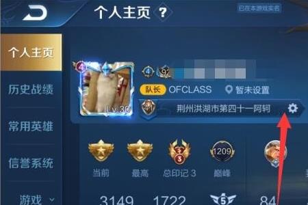 王者怎么在游戏内显示金牌银牌