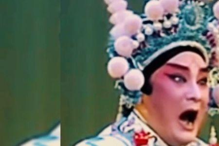 已故秦腔名人名单
