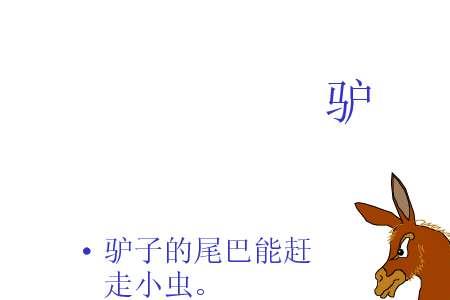 一年级动物的尾巴像什么怎么写