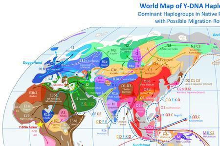 各民族的父系基因类型