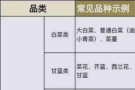 2022年两轴绿通最低标准
